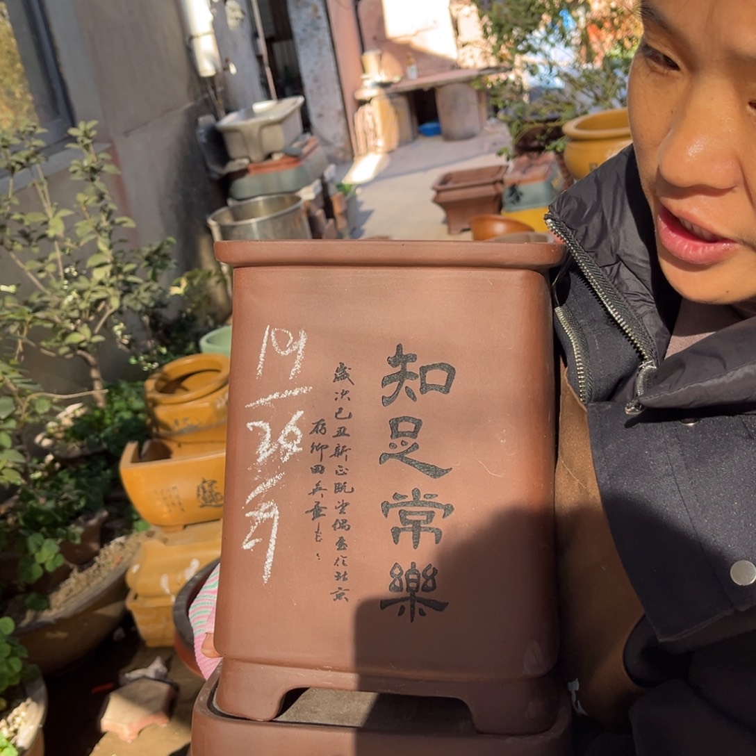 紫砂花盆盆景艺术