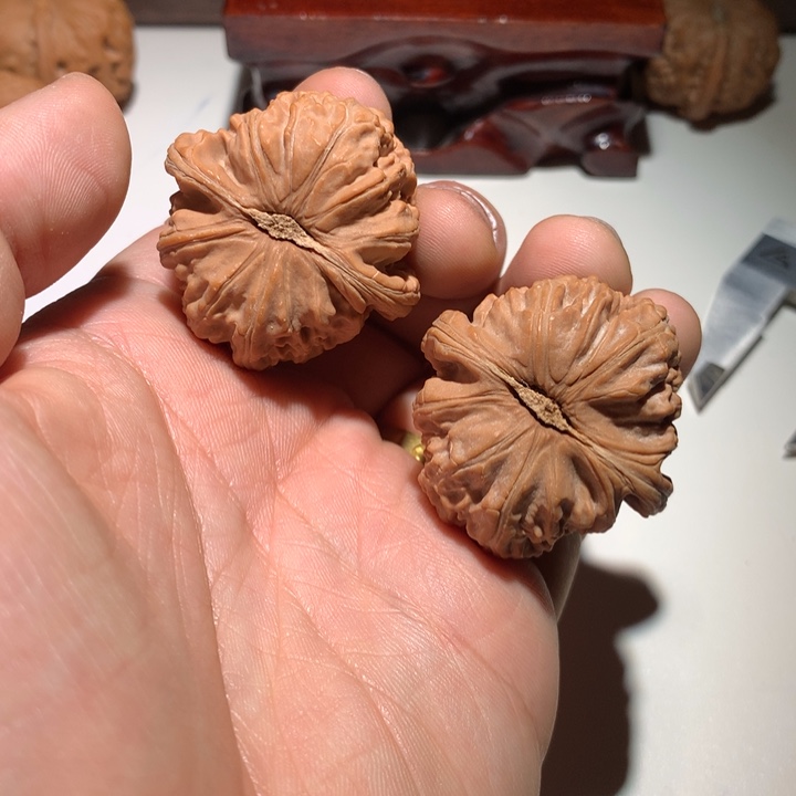 把件文玩核桃卡****号白狮子