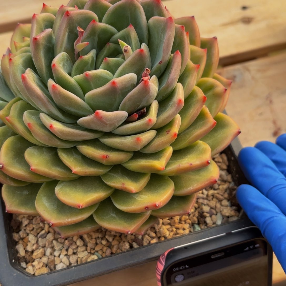 ?****?Hbjjjjjkjjkjjnnjvkvjkk