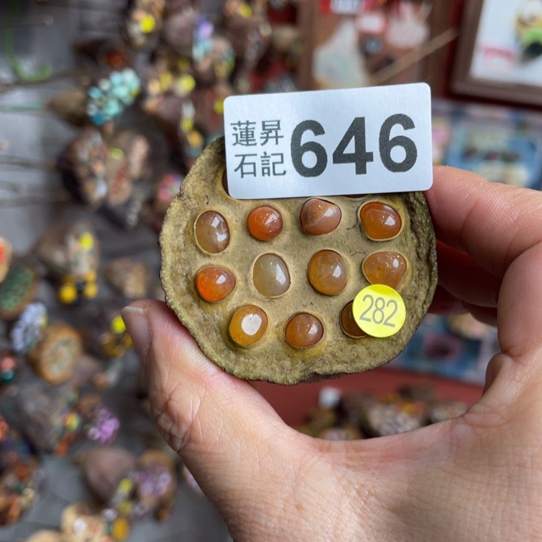 核桃木/黑胡桃（胡桃木）嘉**院646