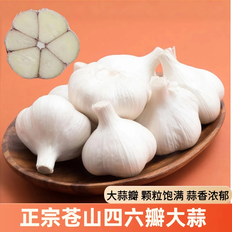 【正宗苍山四六瓣】2025苍山四六瓣山东新干蒜蒜香味浓4-8瓣