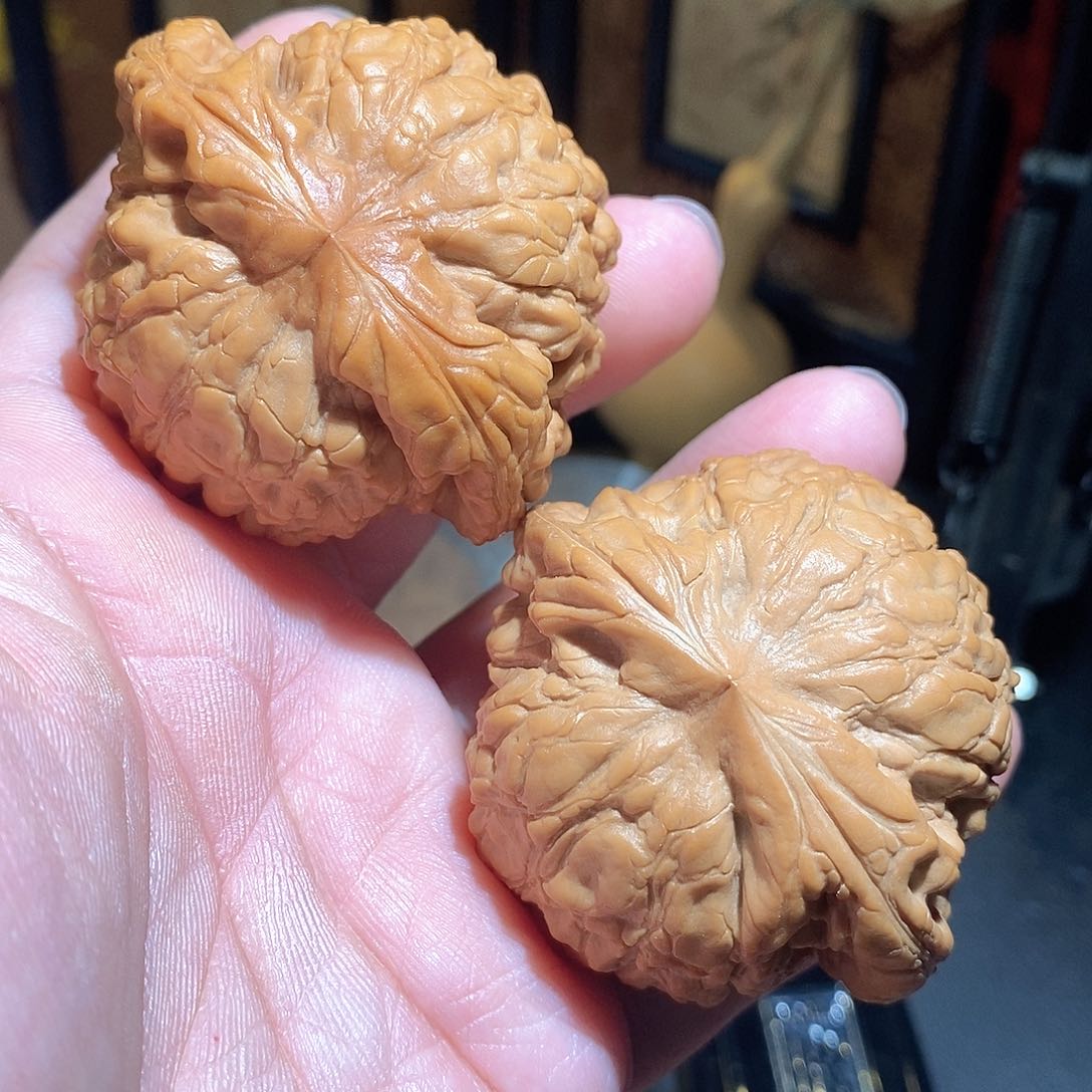 文玩核桃把件55龙鼎全品