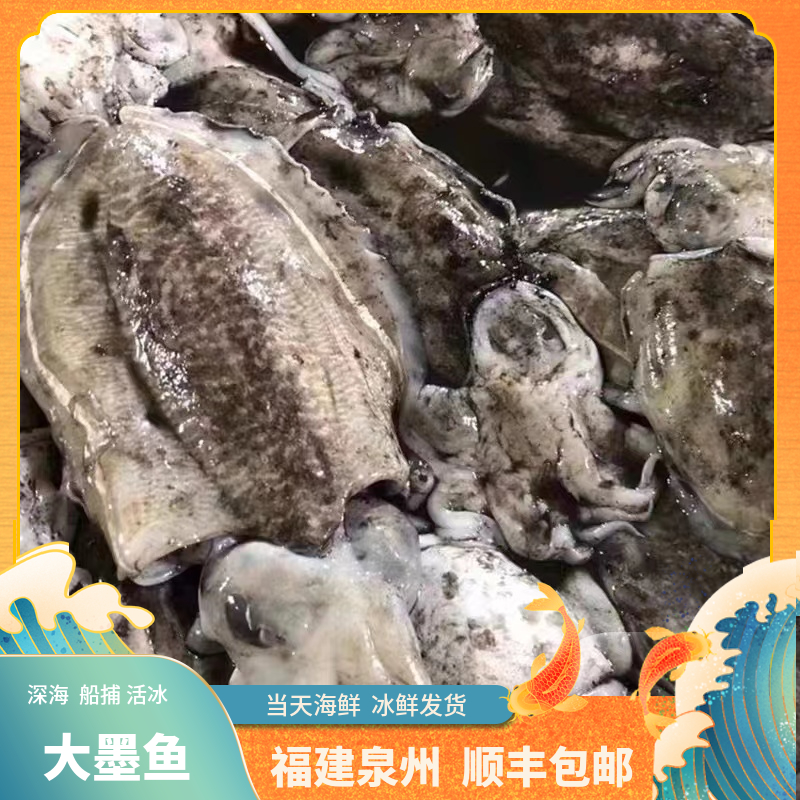 【墨斗】直播间海鲜螃蟹鱼虾顺丰发货新鲜到家