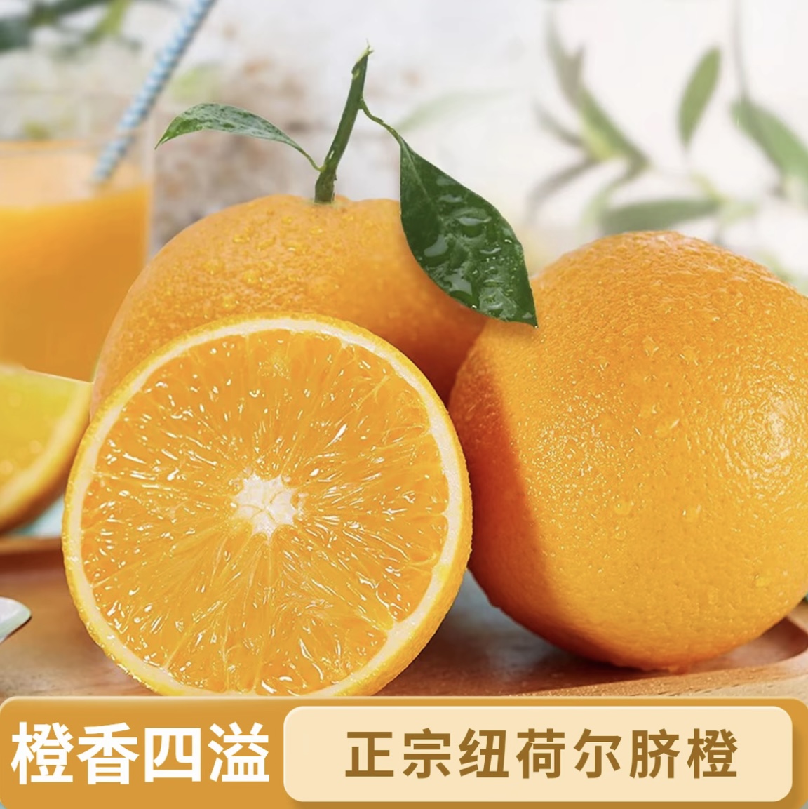 正宗高山脐橙新鲜采摘橙子产地直发纽荷尔【精品一级大果10斤】