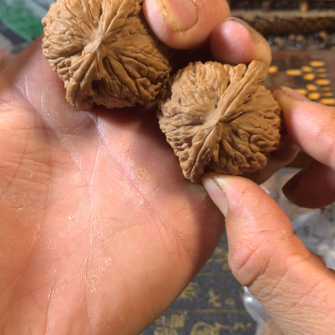 桃核把件文玩核桃白狮子43