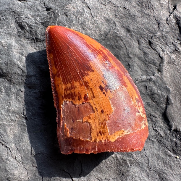 沙精美摆件创意礼物家居配饰新年礼物个人收藏