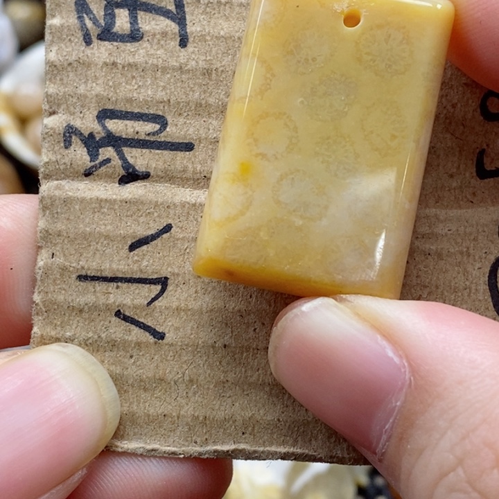 硅化珊瑚（珊瑚玉）颈饰未镶嵌