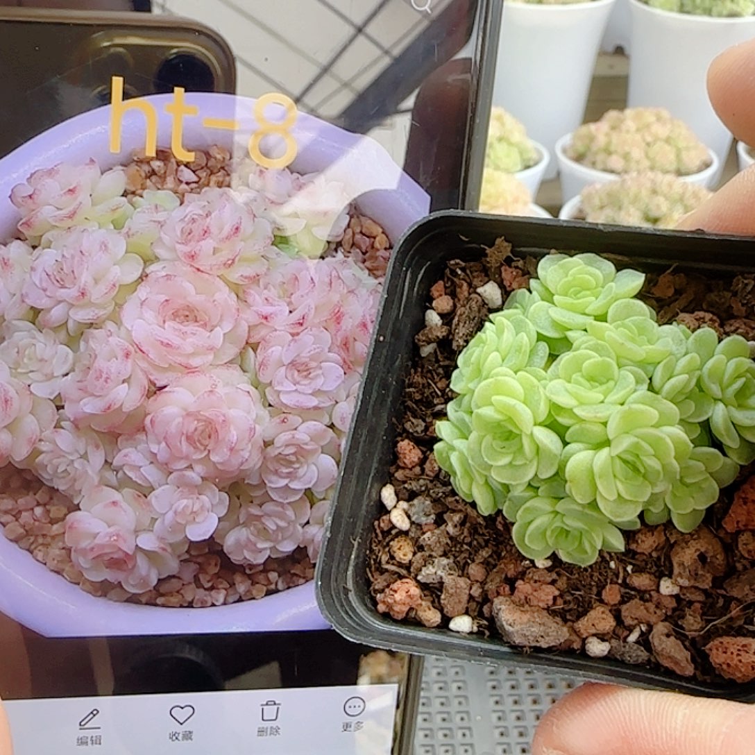 1112-31（ht-8）优选
