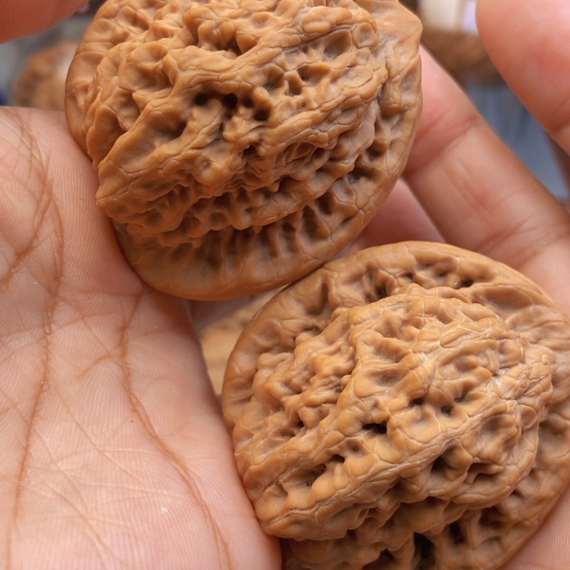 【闪购商品】文玩核桃把件L****伟46金公子