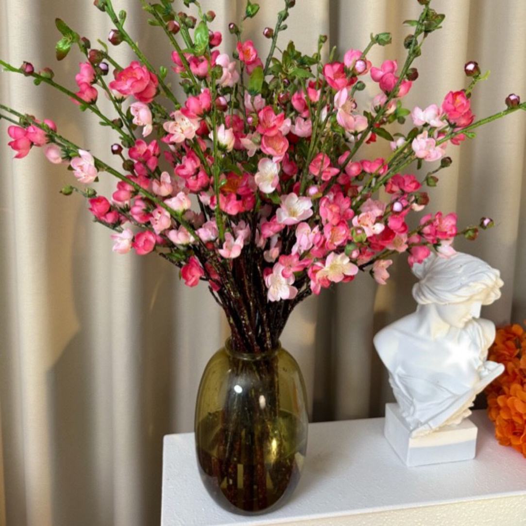 （带花苞）鲜枝浓香型水培梅花枝桃花枝带花苞室内耐寒花卉绿植