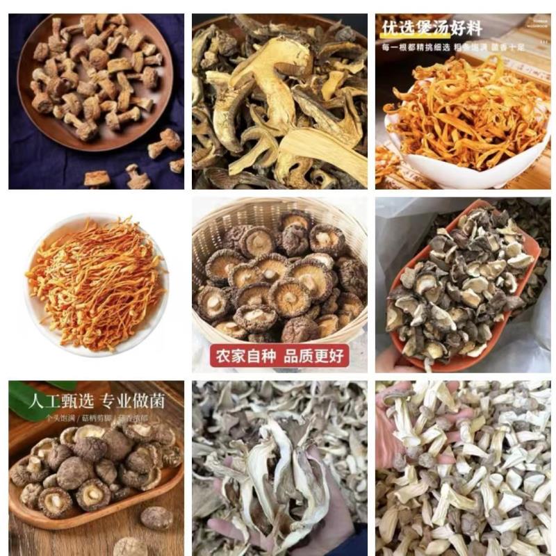 C024 备用链接 高端品质 山货土特产 香菇