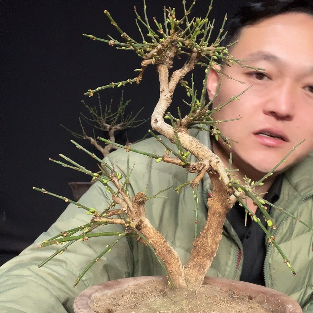 W***T无花朵谢谢你的关心和支持