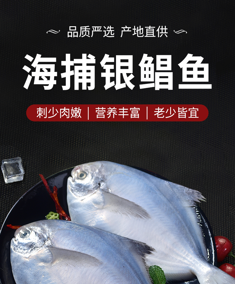 【京东顺丰冷链车发货】大号新鲜海捕银鲳鱼 刺少肉嫩 4条/斤
