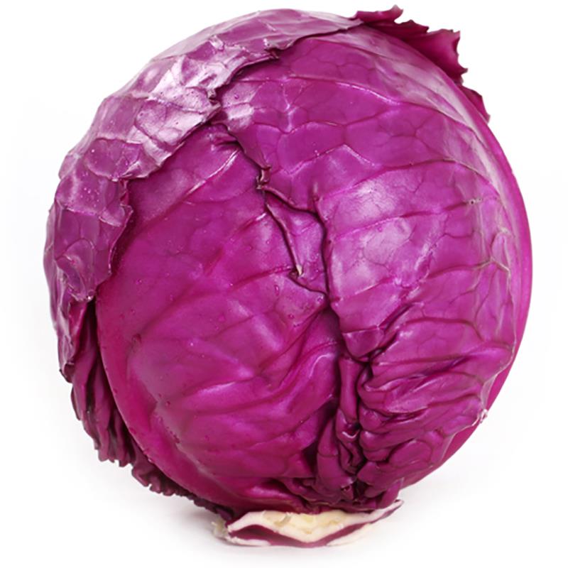 【满5包包邮】 紫甘蓝种子 紫色卷心菜 紫包菜庭院阳台蔬菜 
