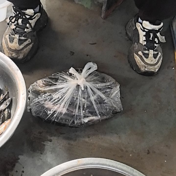 石台小李代购石班鱼2