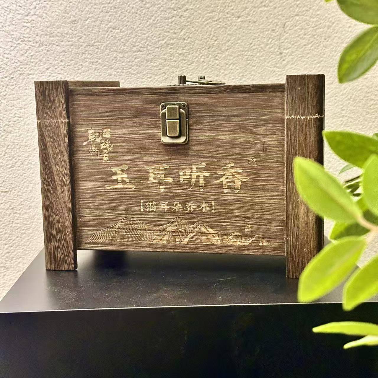 新粉专属-猫耳朵乔木纯料-甜滑香柔-玉耳听香-木盒礼盒普洱茶250g