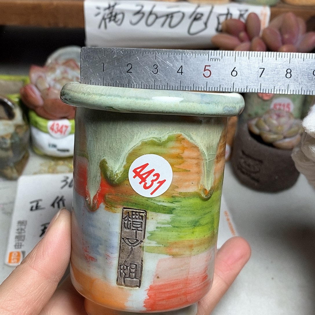 红陶拍5送一个小