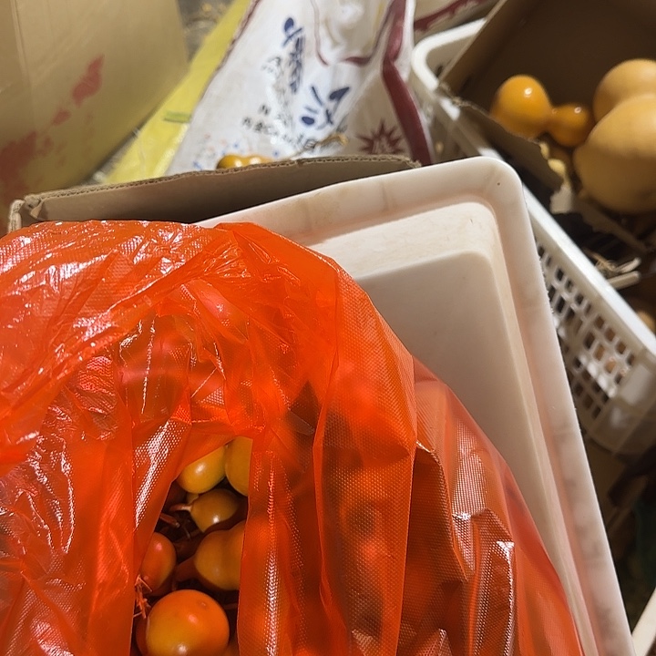 佐***号葫芦处理葫芦葫芦葫芦葫芦