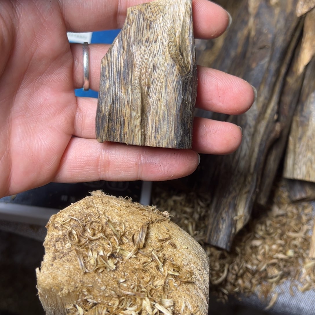 沉香沉香碎屑油叶子虫漏15克