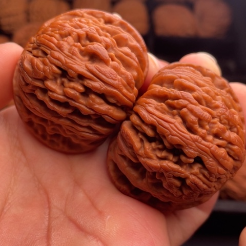 文玩核桃把件秦岭山脉核桃