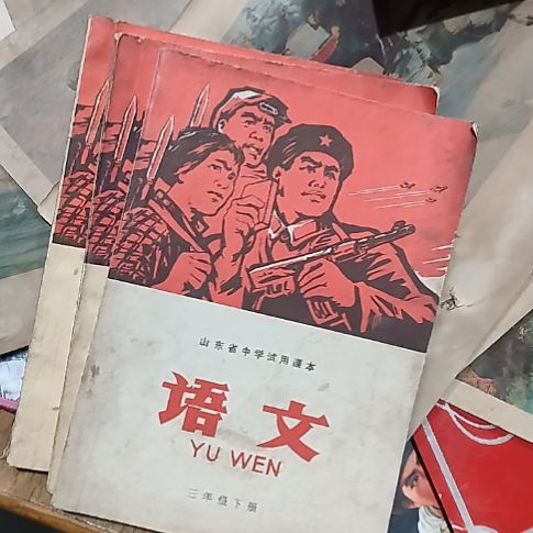 软陶草****4课本3本，，
