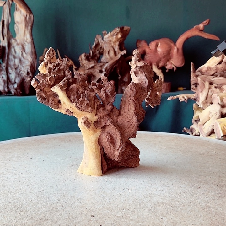 黑果木一****。556金丝红木羊蹄甲半成品