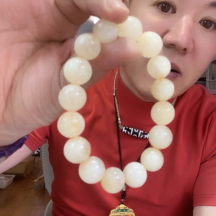 玛瑙/玉髓未镶嵌颈饰171