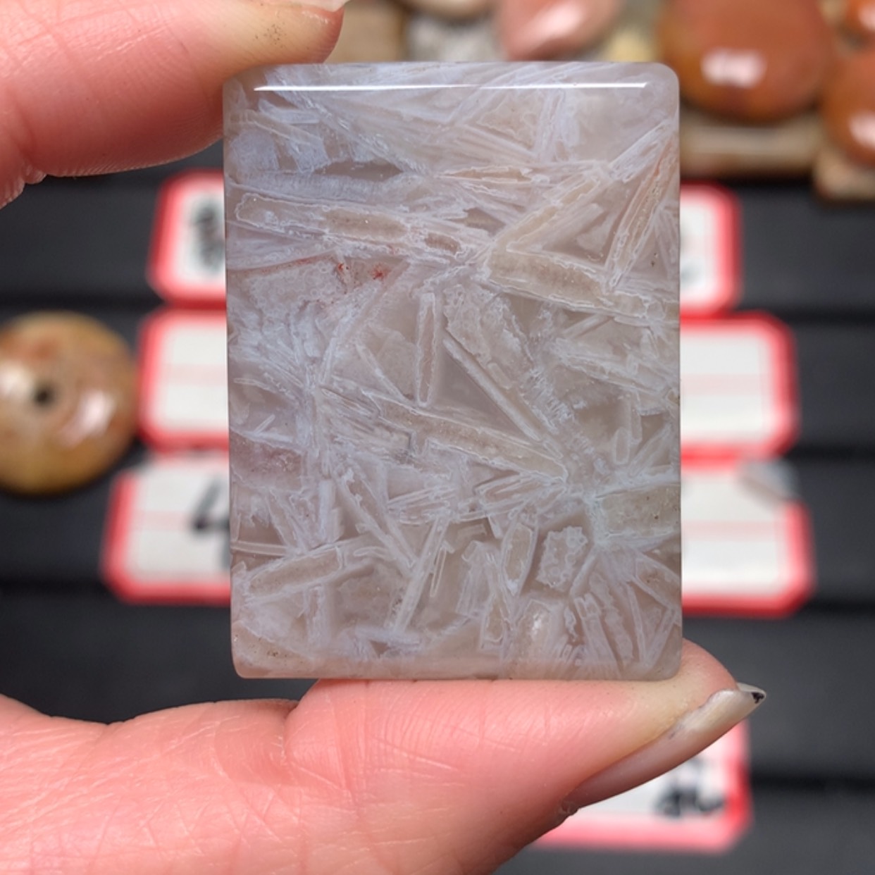 【闪购商品】硅化玉颈饰未镶嵌阳*