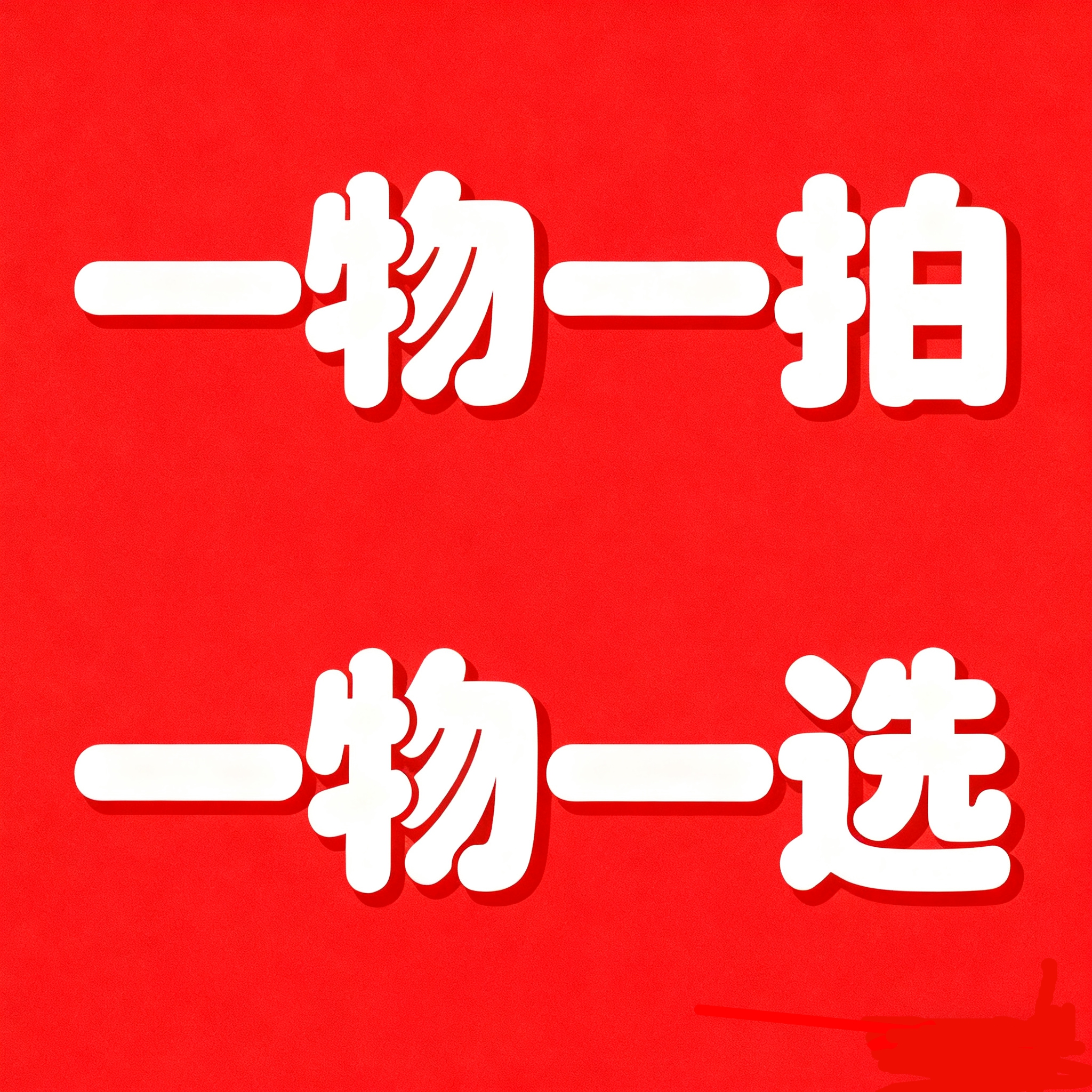 （清棚）一物一拍一物一选多头玫瑰甘蓝 切花品种 耐冻好看好养