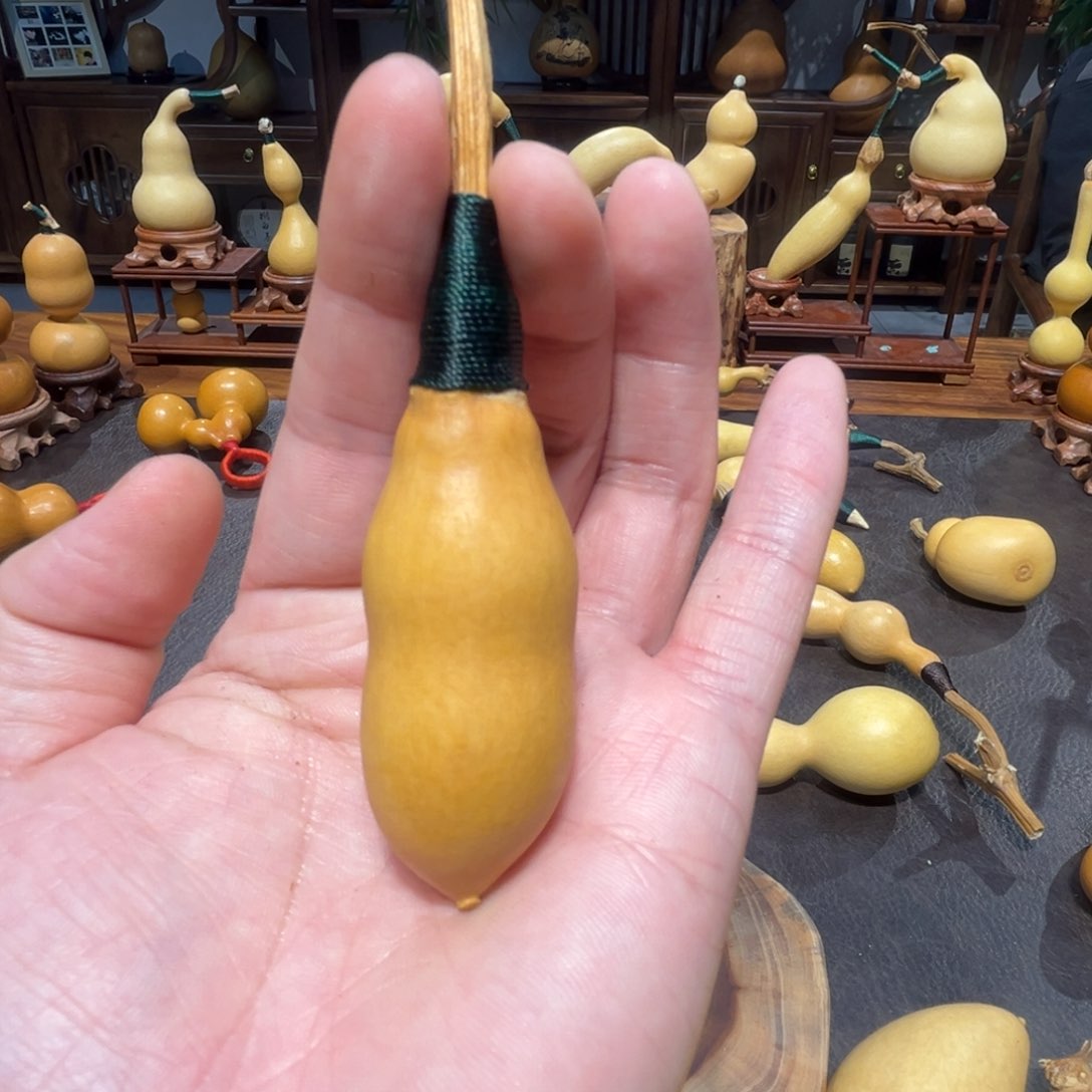 M****r重返校园的时候我