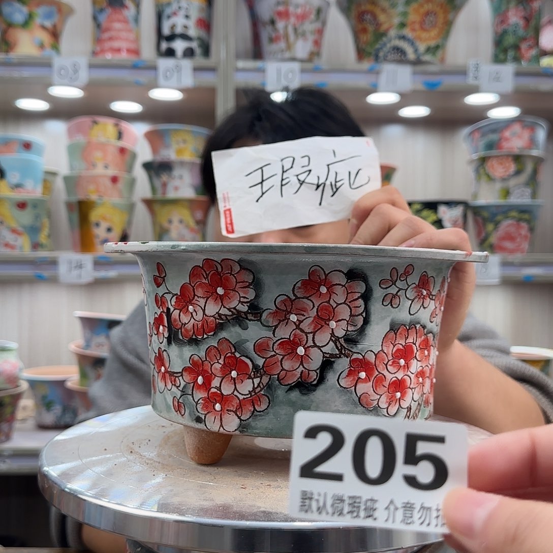 陶其他瑕疵瑕疵205