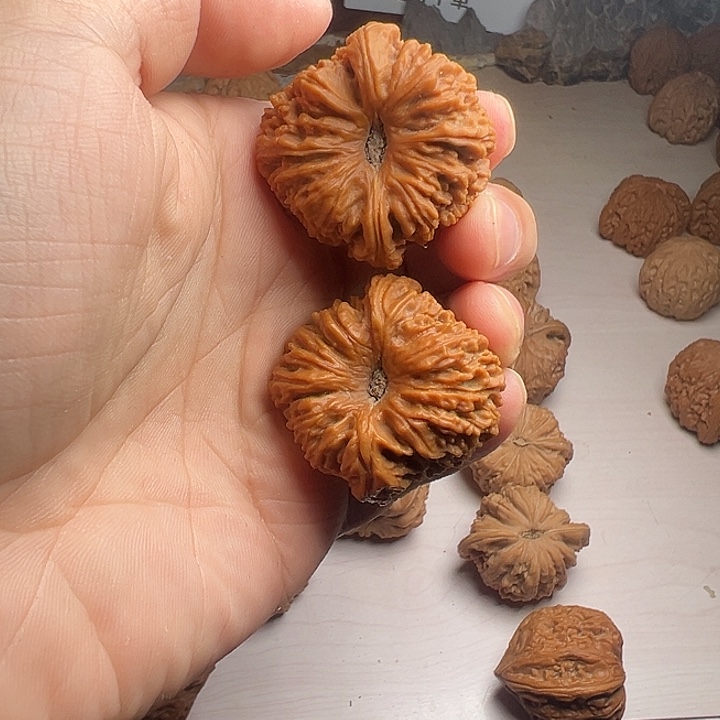 ****王大凹底南疆石狮子头