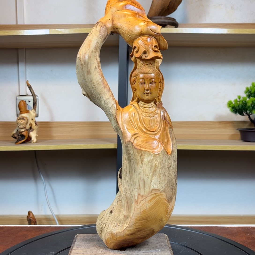 柏木（崖柏）b b vv b b n n n n