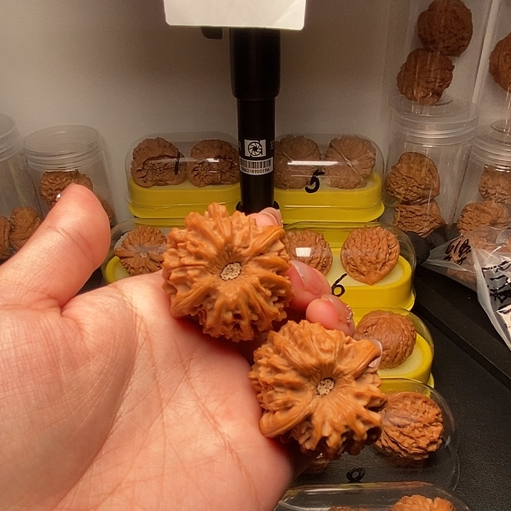 墨***漠41巨凹龙门涧          