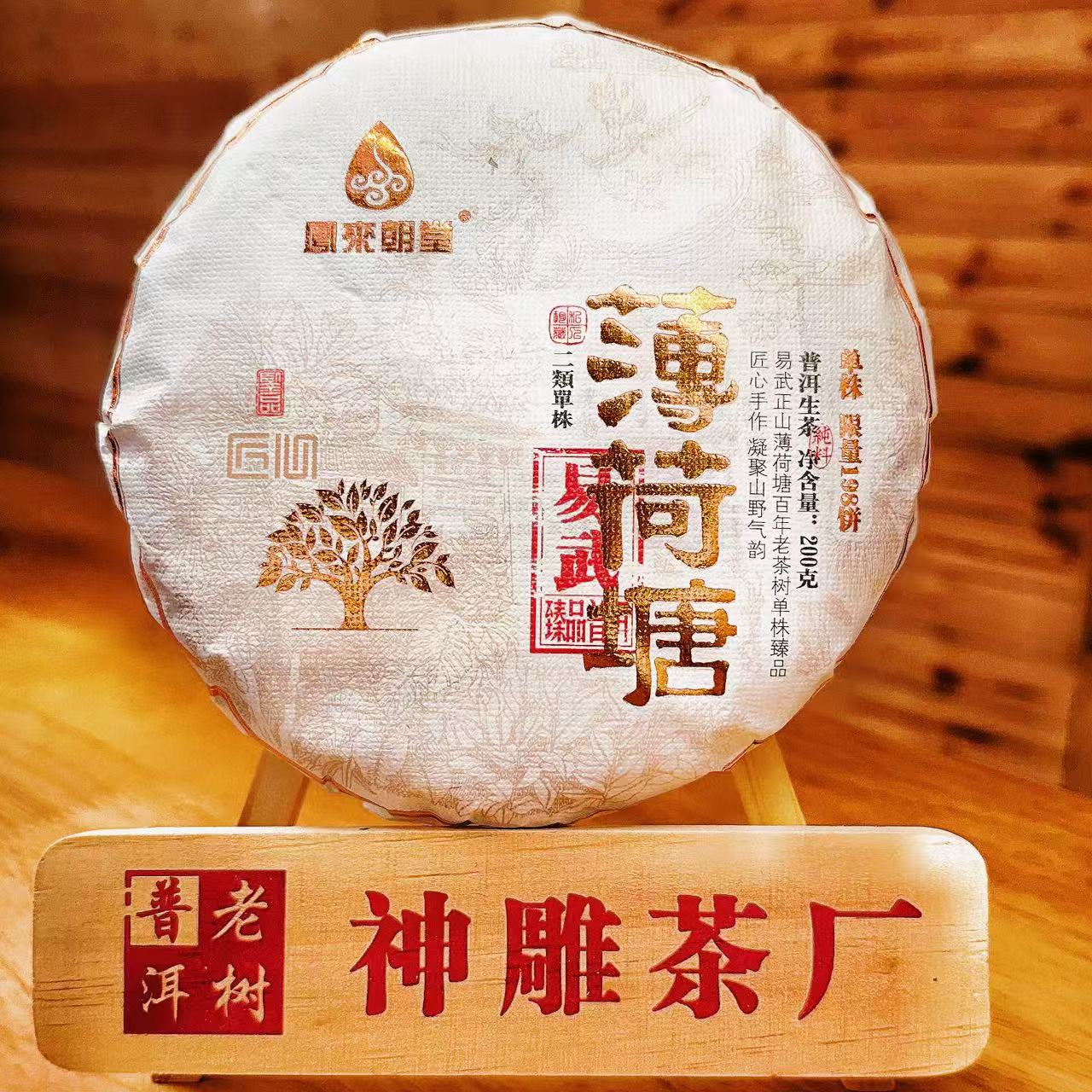 2022年【凤来朝堂】云南普洱茶薄荷塘生茶   200g饼