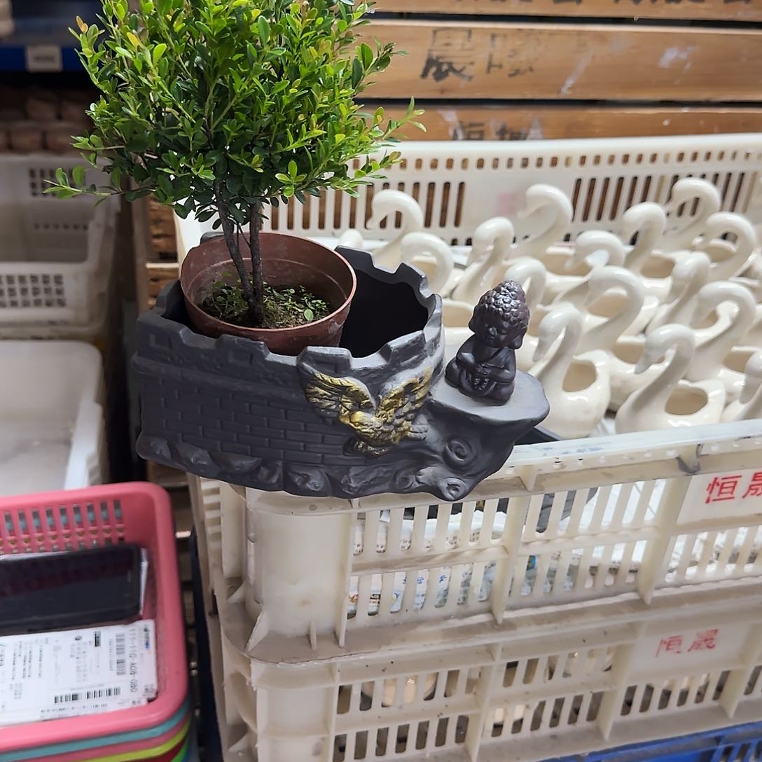盆·小叶赤楠·摆件·
