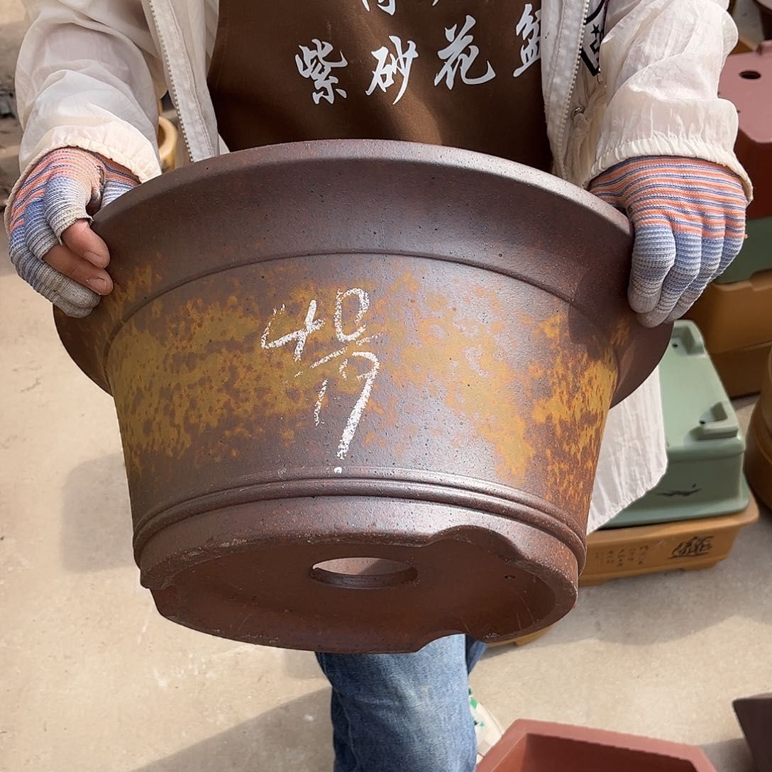 紫砂花盆盆景艺术