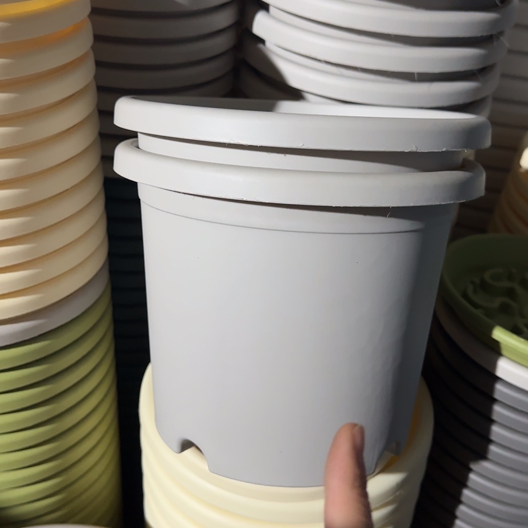 树脂四季3号无托10个灰白微瑕