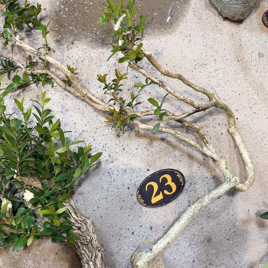 红陶峯*一起为梦想而加油啊