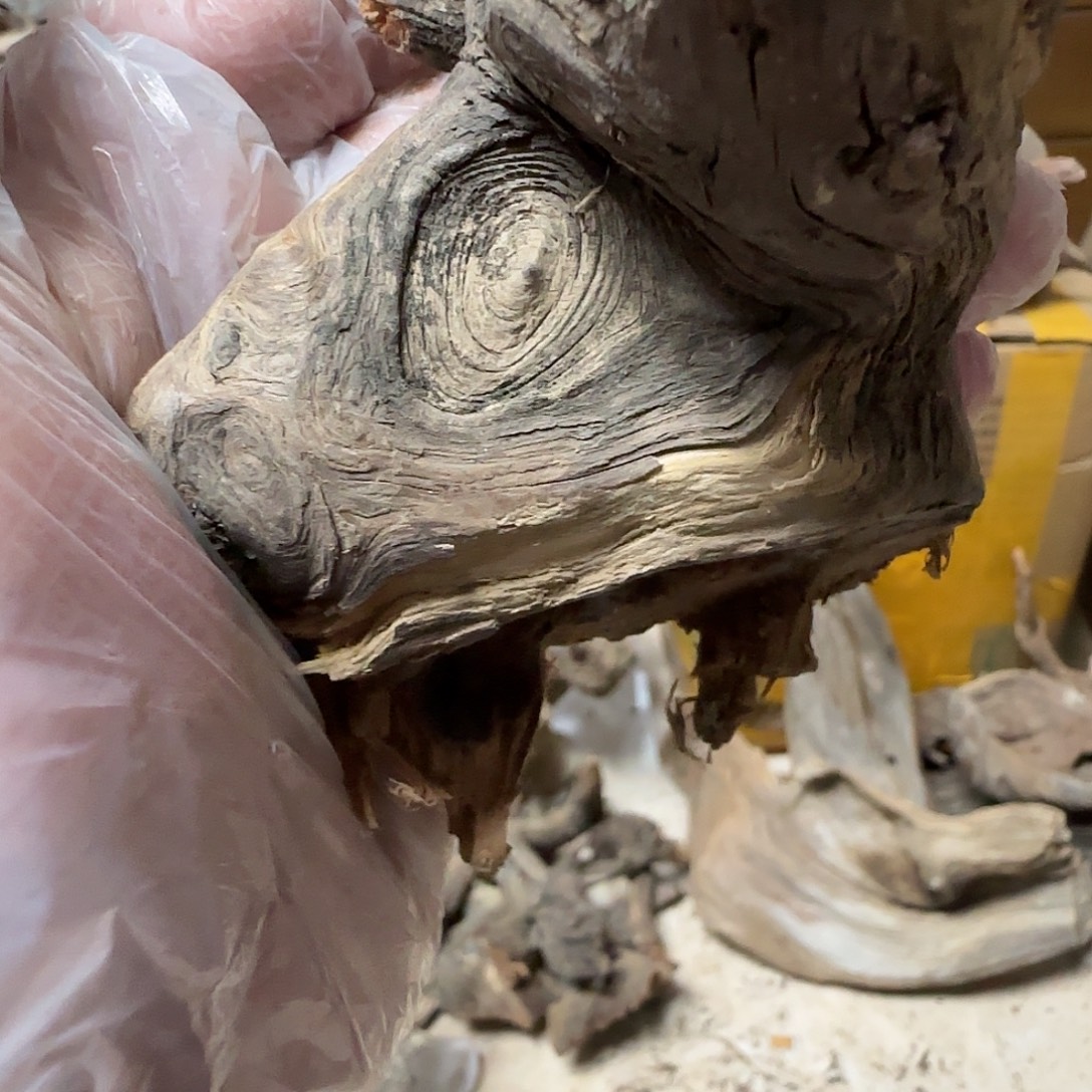 益****木双色坨坨疙瘩头像