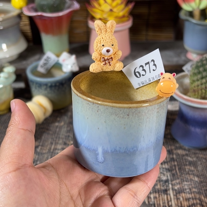 口6 未满30运费到付