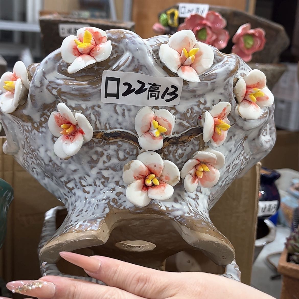 【闪购商品】红陶福利