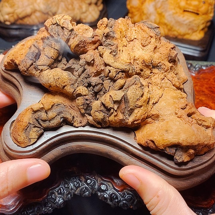 荔枝木荔枝木荔枝木