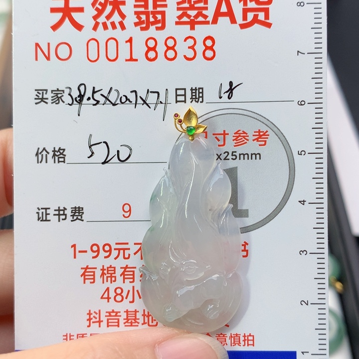 翡翠颈饰未镶嵌吊坠