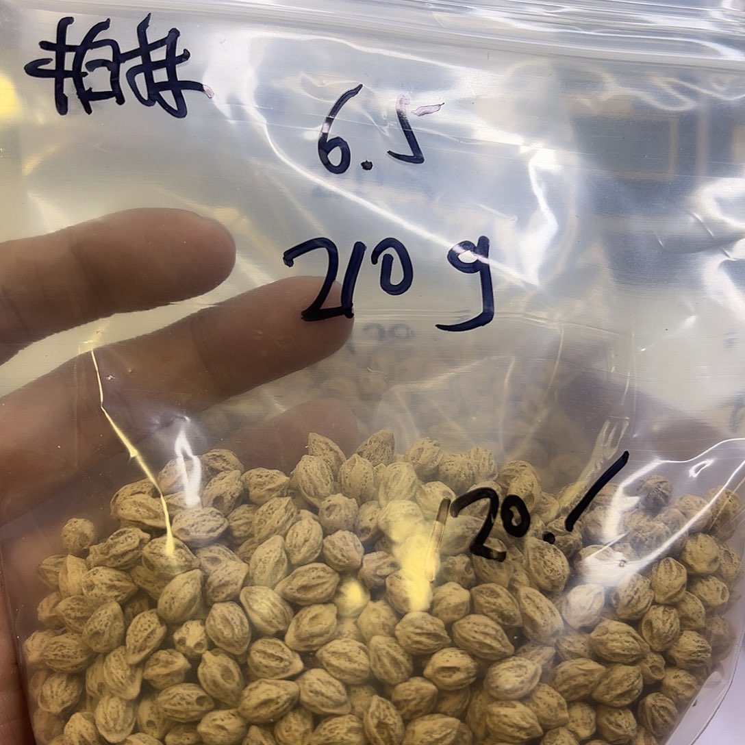 柏****吊坠柏香籽/百香籽