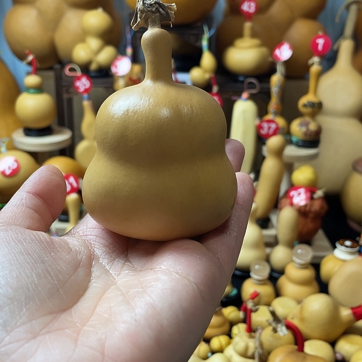 开***汤葫芦丝老师在讲台前讲