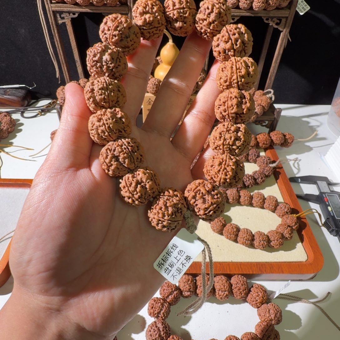 吊坠金刚菩提22尺寸原生态超头