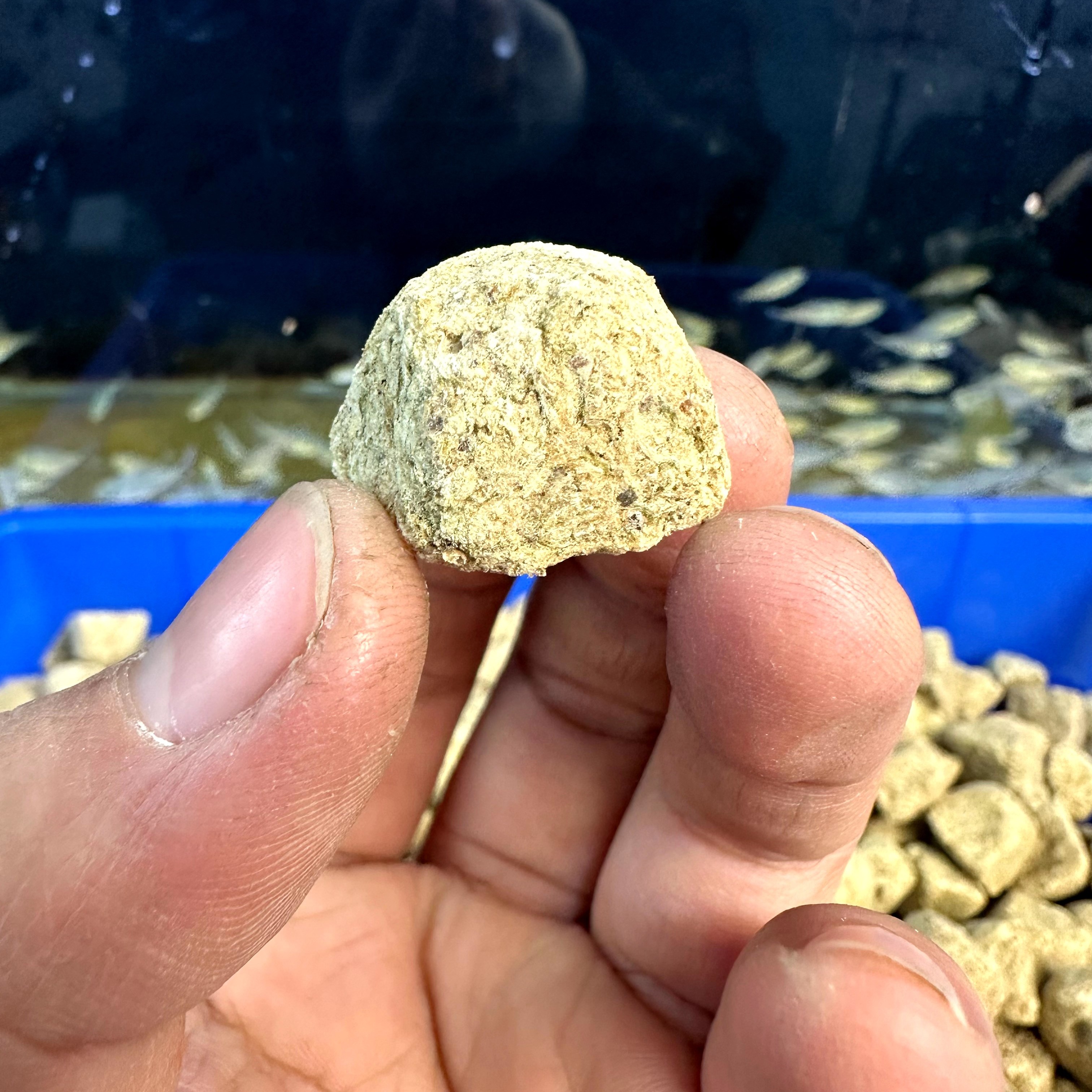 冻干丰年虾块热带鱼饲料块神仙鱼饲料迷你鹦鹉金鱼冻干鱼粮