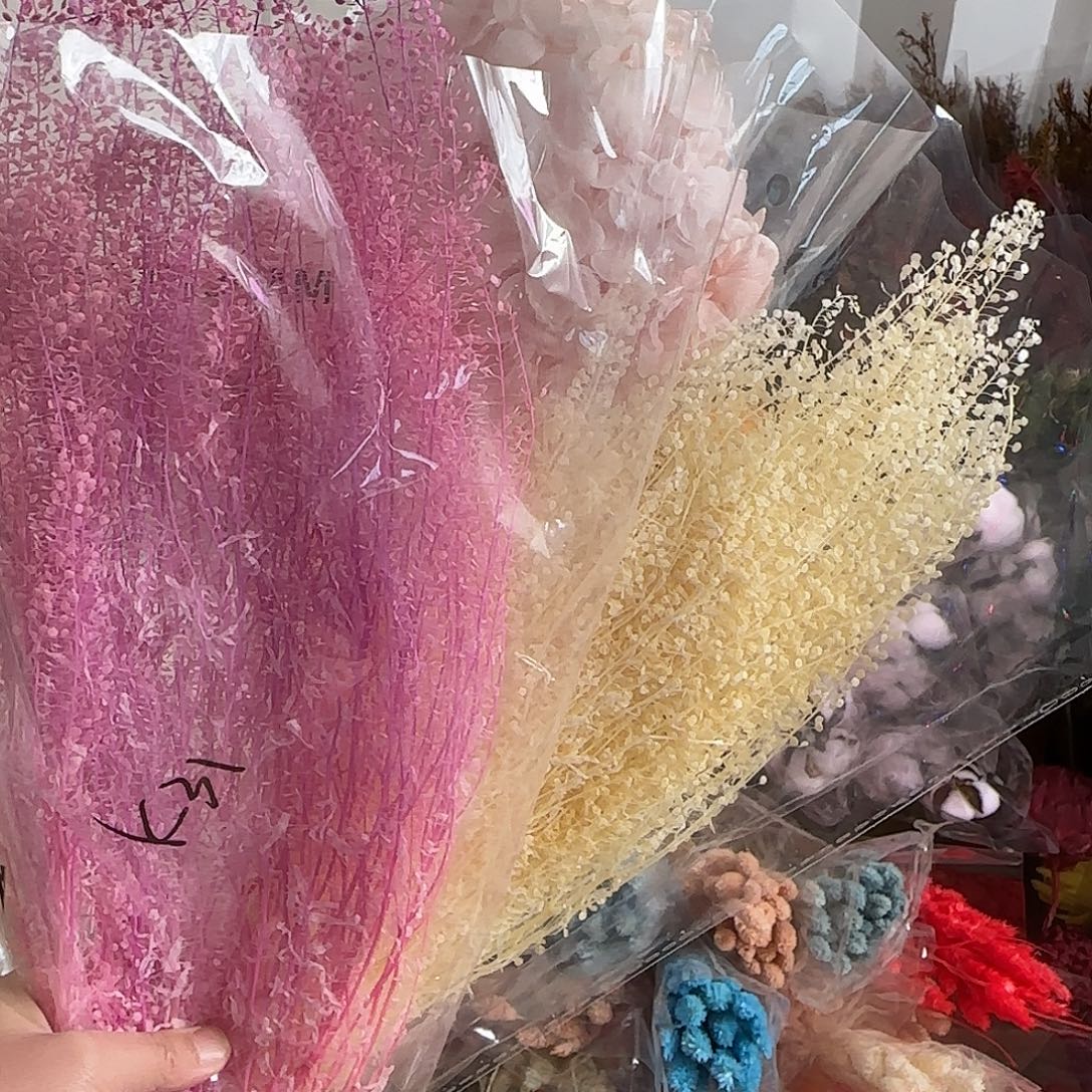 小****H56号3把混色花材