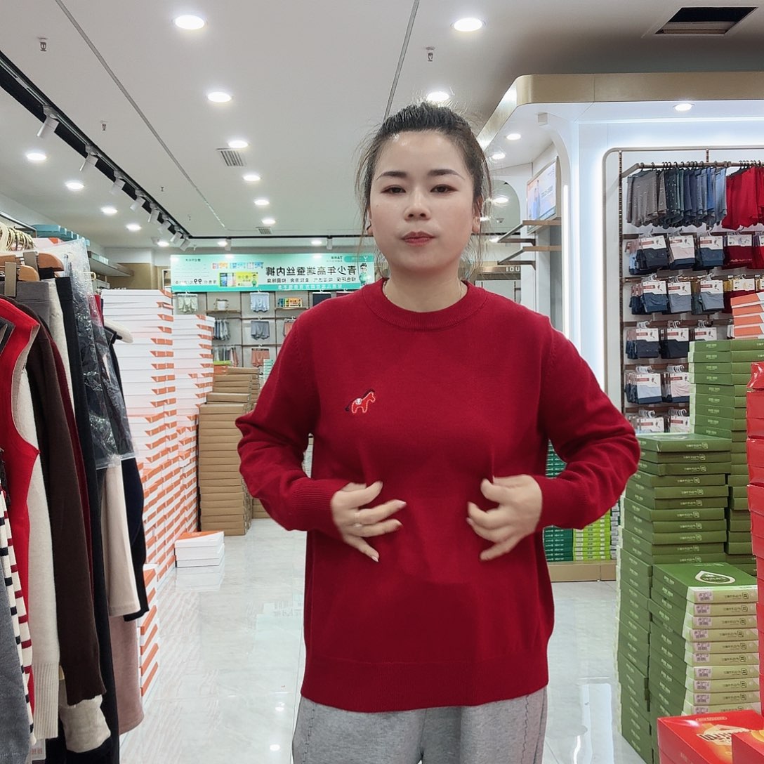 红色小马套头毛衣新款